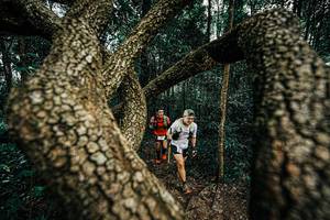 BIB: 
                            <button type="button" onclick="openModal(25393445)" class="btn btn-primary btn-sm float-right btn-popup" data-toggle="modal" data-target=".modal-high-quality">
                        <i class="fas fa-shopping-cart"></i> Add to Cart
                    </button>
                                            <button type="button" onclick="isThisMe(25393445, true)" class="btn btn-success btn-sm float-right btn-popup btn-isme hidden" data-toggle="tooltip" data-placement="bottom" title="นี่คือรูปของคุณใช่ไหม คลิกที่นี่เพื่อเอาเข้าอัลบั้ม">
                        <i class="fas fa-plus"></i> Add to album
                    </button>
                    <button type="button" onclick="isThisMe(25393445, false)" class="btn btn-warning btn-sm float-right btn-popup btn-isnotme hidden">
                        <i class="fas fa-ban"></i> Remove from album
                    </button>